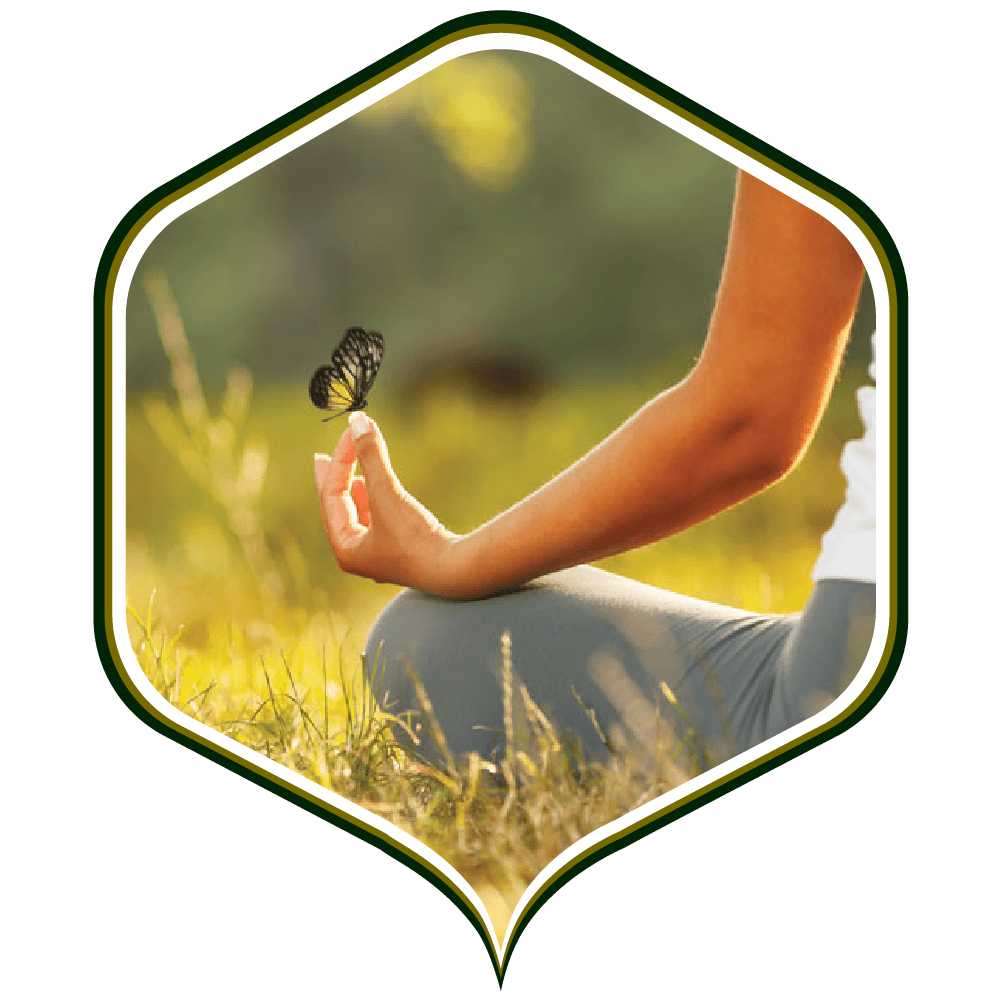 चलें स्व की ओर... शिविर