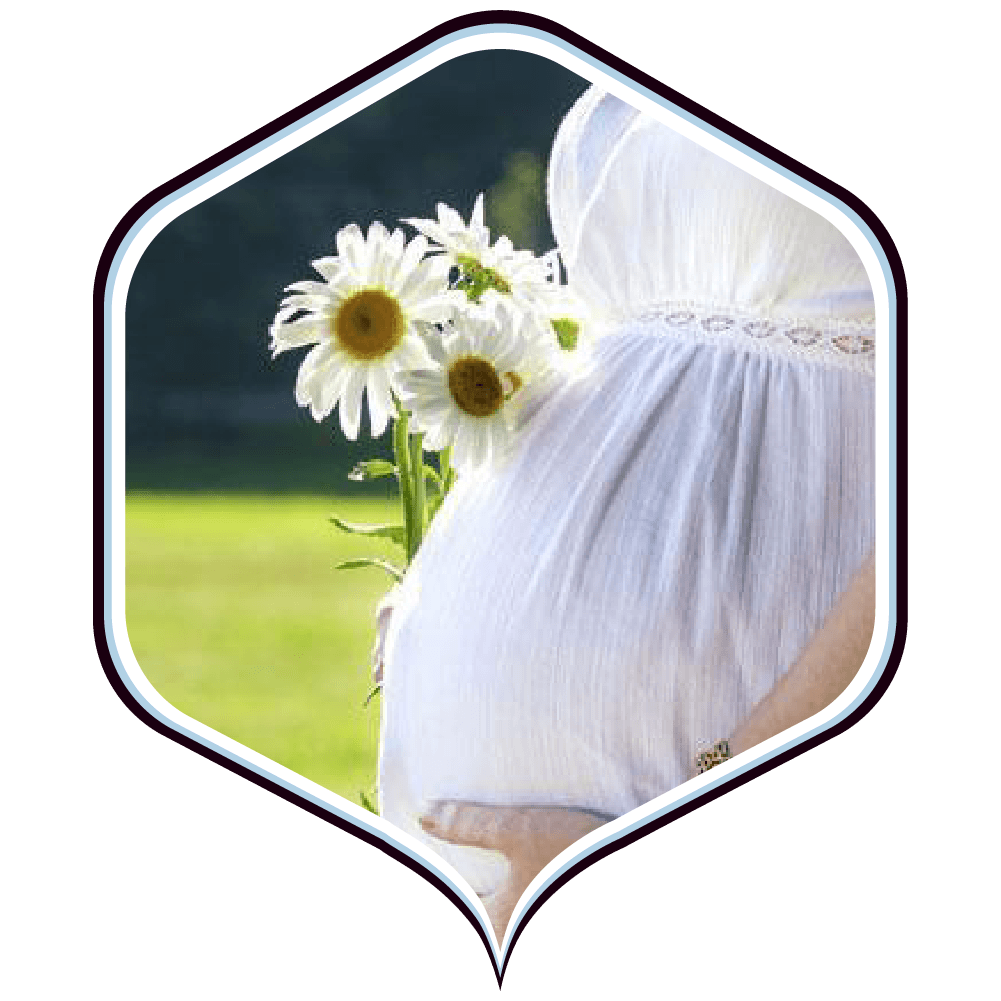 दिव्य शिशु गर्भ संस्कार