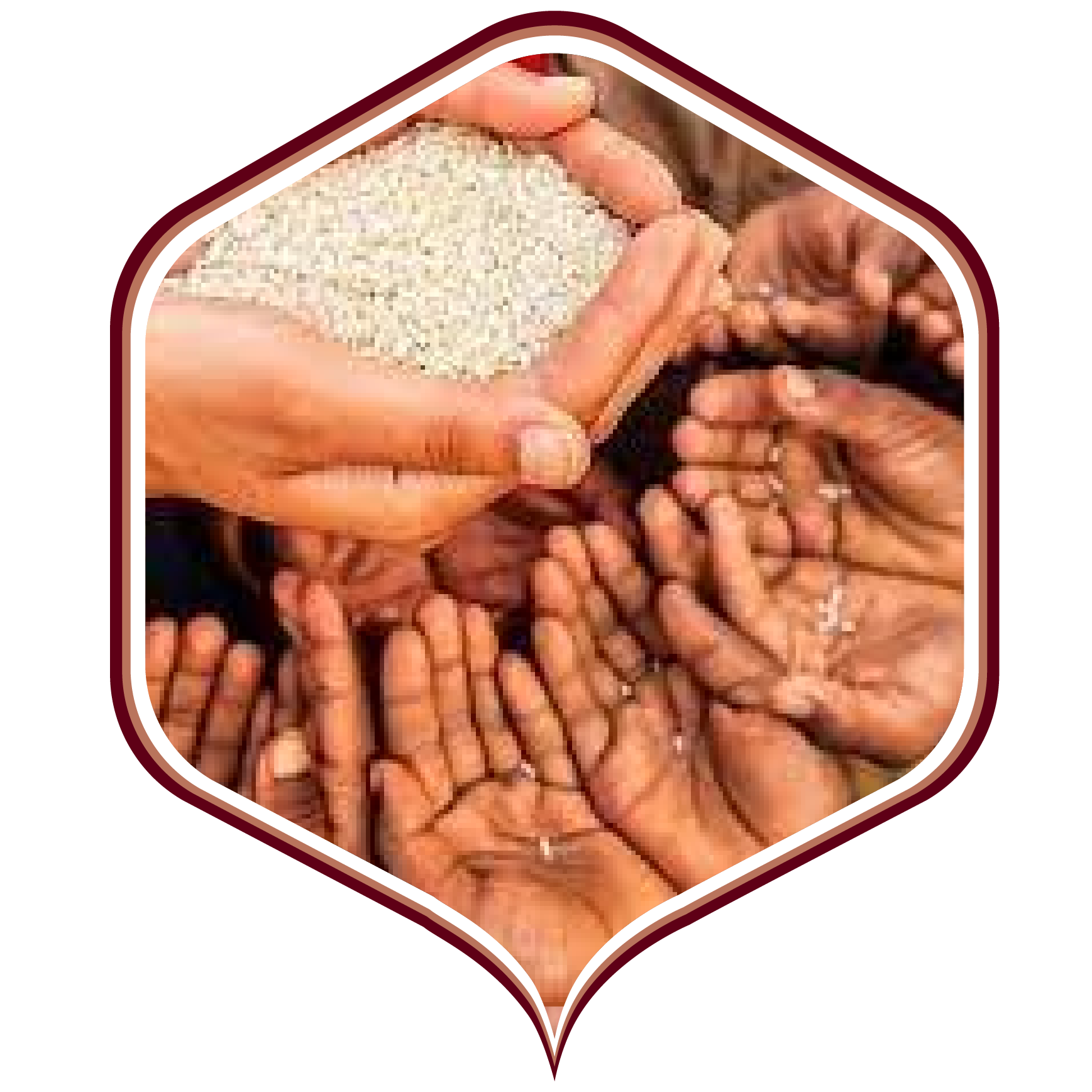 नर सेवा नारायण सेवा