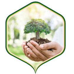 पर्यावरण सुरक्षा अभियान